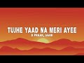 B Praak Jaani Tujhe Yaad Na Meri Ayee Lyrics
