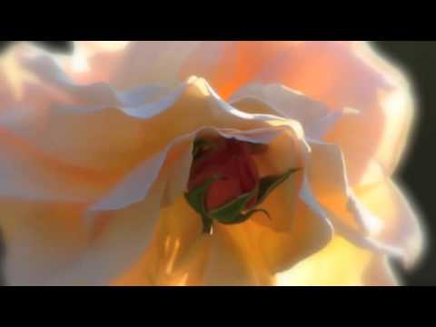 Yoga Suits Her - Savasana - Guided Meditation