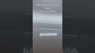 1981 Chevrolet C10 Short Box Custom Paint Job