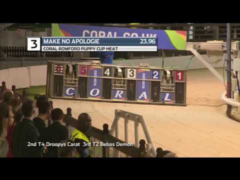 2019 ROMFORD PUPPY CUP - HEAT 4 - T3 MAKE NO APOLOGIE