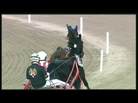 Trotto 15/11/2020 - 1ª corsa