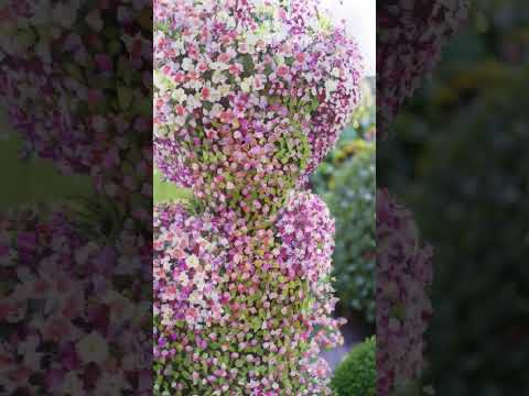 Flower 🌼 #navisha