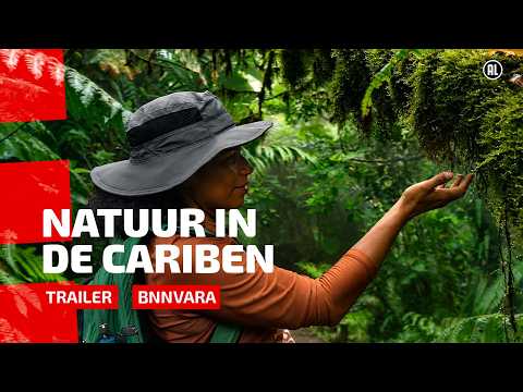 Natuur in de Cariben (2026)