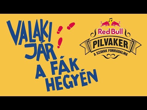 RED BULL PILVAKER 2019 – Valaki jár a fák hegyén (Random Trip & Sub Bass, Meszi, Dipa, Wolfie)