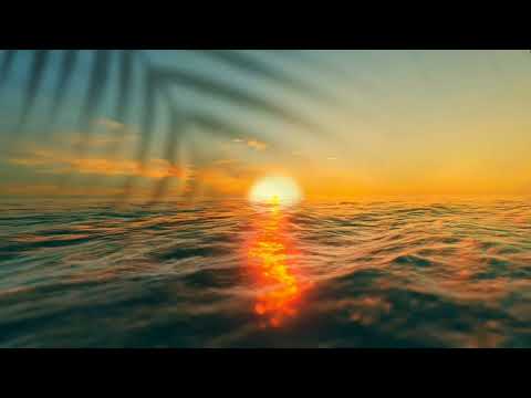 enerjake - u still love me (sunrise)