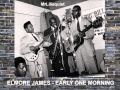 Elmore James - Early One Morning