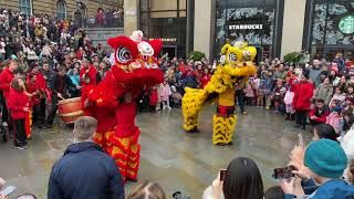 Lion Dance - How Chinese New Year was Celebrated in Scotland?