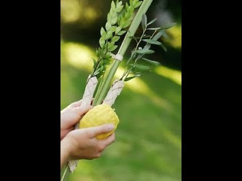 Hoshana Raba - 3 Lessons. Faith, Keeping your Mouth Shut and Sweetness