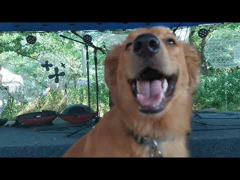 Ramon El Hungaro - Kannás Flow