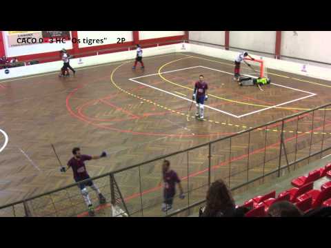HOQUEI PATINS 2015/2016 / SENIORES / Camp. Nac 2ªdiv sul / CACO 2 - 8 HC "Os tigres"