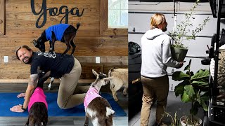 Doing A Little Goat Yoga & Getting Ready For The Big Florida Freeze! | Home Vlog