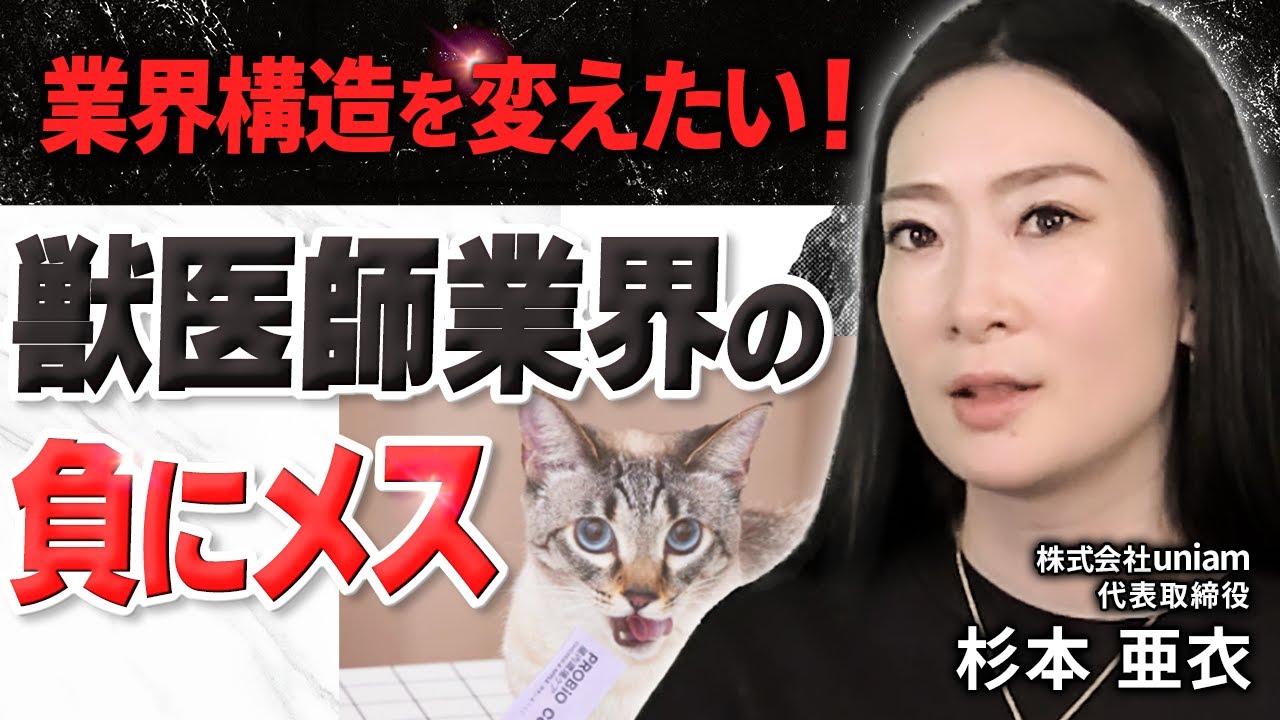 【獣医療×マーケティング】なぜ獣医師免許を取得して広告代理店に？｜uniam杉本亜衣