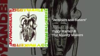 "Brothers and Sisters"- Ziggy Marley and the Melody Makers | Joy and Blues