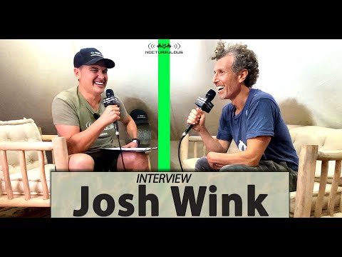 Josh Wink - Interview Backstage