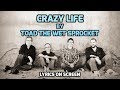 Crazy Life - Toad the Wet Sprocket - With Lyrics