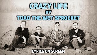Crazy Life - Toad the Wet Sprocket - With Lyrics