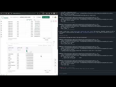 Marimo pair using Claude