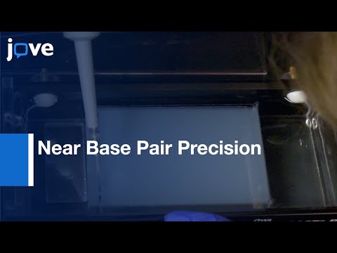 ChIP-Exo Method: Identifying Protein-DNA Interactions: Near Base Pair Precision l Protocol Preview