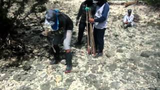 preview picture of video 'Preparation of Planting site of MANGROVE ON ROCK'