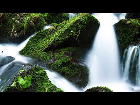 Paty Nunes Mensagem 17 de Setembro de 2019