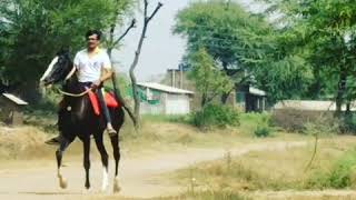 preview picture of video 'Malhar - Horse riding experience with trained horse.'