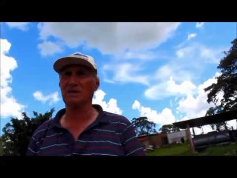 VIDEO   SANTA CRUZ DA ESPERANÇA   20 ANOS