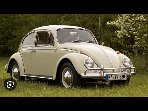 serendipity 1:49.57 en el beetle