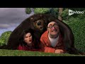 Bear Vs Exterminator Katrina Berces Crossover