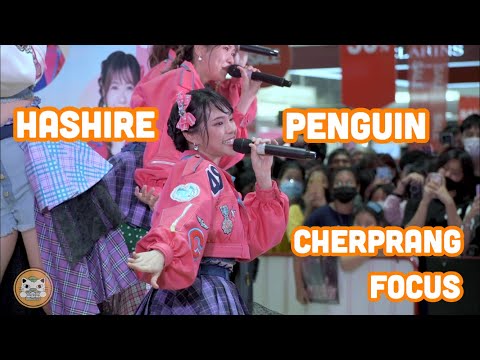 200816 Hashire Penguin (วิ่งไปสิ...เพนกวิน) - BNK48 [Cherprang Focus]