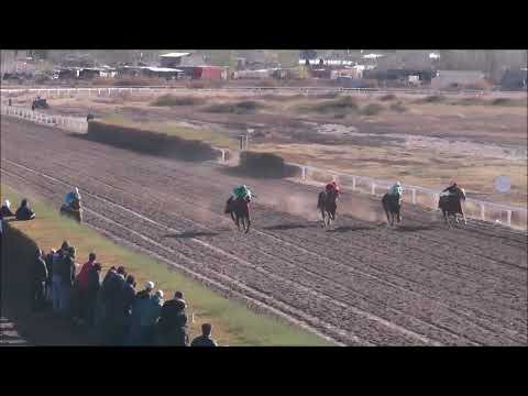 7º Septima Carrera 11 de junio 2023