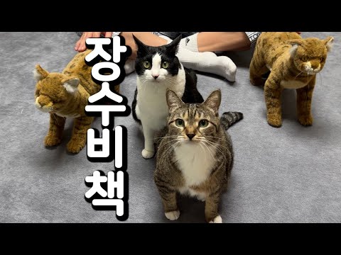 춘봉첨지칠복이 30살까지 살기 프로젝트