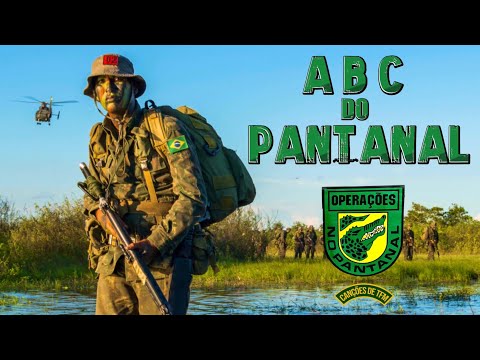 ABC do Pantanal 🐊 - CANÇÕES DE TFM