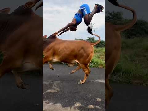 These professional stunt performers did wonders here.