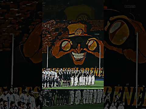 Rare Ultra fans 😎 #shorts #football #viral #bvb