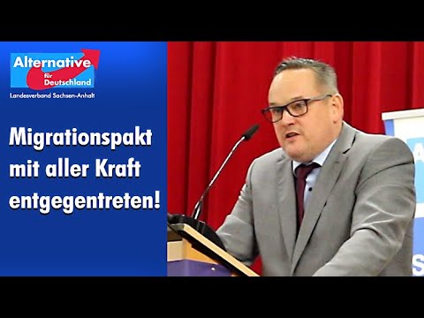 AfD - Migrationspakt stoppen!