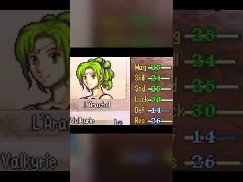 Your Average L'Arachel