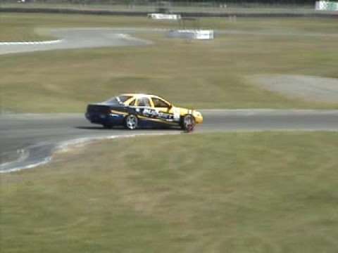 Driftsouth Round1 2008/2009 D1 Animals