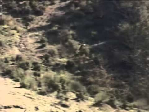 ONDA TG 27.06.2013 - LATTANZIO CHIEDE COMMISSARIO PER EMERGENZA CINGHIALI