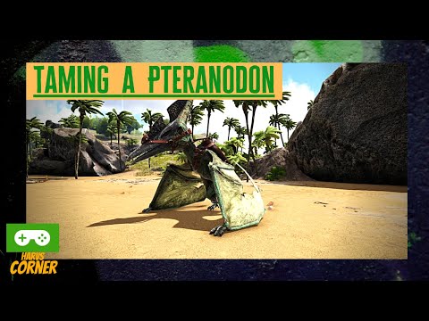 Ark How to Tame a Pteranodon -  Ark Survival Evolved