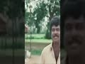 Goundamani Sathyaraj Comedy Tamil Youtubeshorts Shorts Viralshorts Reach Explorepage