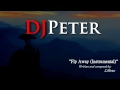 DJPeter Original - Fly Away (Instrumental) 