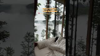 This Isn’t a Postcard – It’s My Morning View