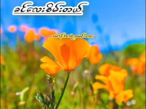 ခင်လေးစိမ်းတယ်// ဝေလ (Lyrics Song)
