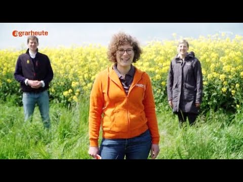 Im Expertengespräch: Probleme und Strategien im Rapsanbau | RAPOOL