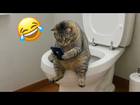 You Laugh=You Lose (99% FAIL) 😹 The Funniest Cat Videos 2025 😾