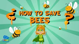 HOW TO SAVE THE BEES