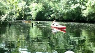 preview picture of video 'Six Mile Creek Kayak.mp4'