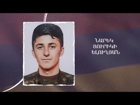 Ձեզ բացակա չենք դնի․ Նարեկ Ելուղյան