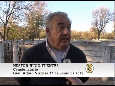 12-06-15 Nota Nestor Fuentes - Nestor Hugo Fuentes S.A. - Gral Acha.
