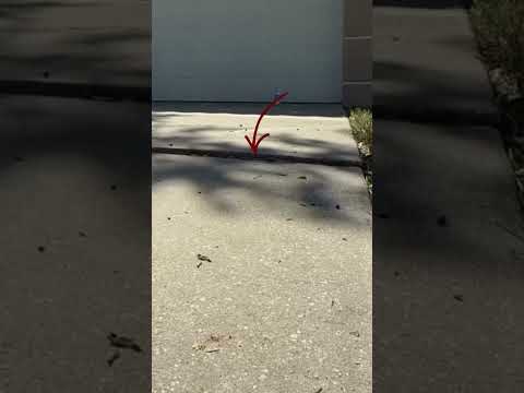 LRE Concrete Leveling Time-lapse Compilation